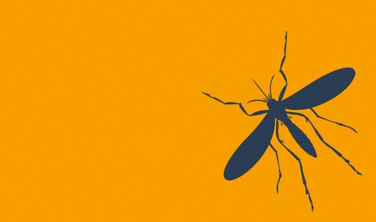 Dengue, chicungunya e zika: cuidado com os olhos ao colocar repelente em spray